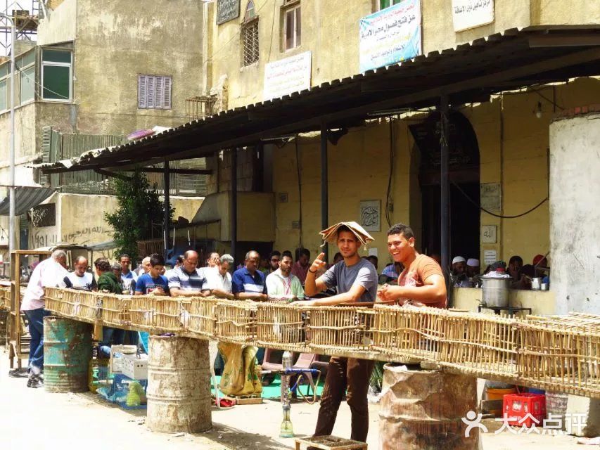 鸽子市场,啥子稀奇古怪的小动物都有~