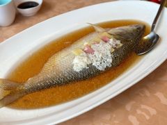 -新镇江酒家(南京西路店)