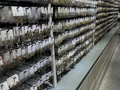 -百荣世贸商城