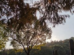 -麦当劳(杭州萧山文源店)