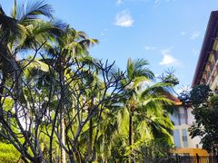 -三亚海棠湾万丽度假酒店