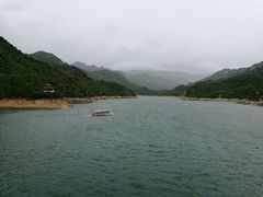 -海鸥岛