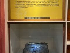 -青海藏文化博物院