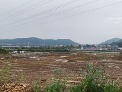 -广东花都湖国家湿地公园