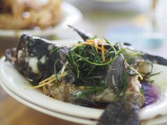 清蒸石斑鱼-渔乡海鲜美食