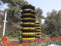 -南山植物园