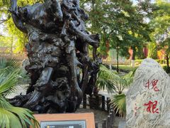 -大槐树寻根祭祖园