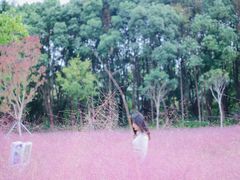 -昆山城市生态森林公园