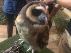 -清迈夜间动物园