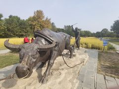 -北坞公园