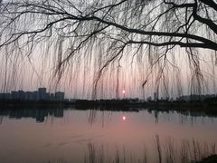 -洋湖国家湿地公园