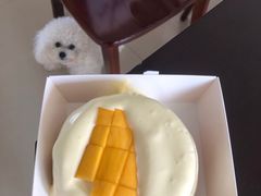 -糕小爱·动物奶油生日蛋糕定制(昆山总店)