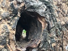 -幕燕滨江·长江观音景区