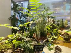 -蜜雪冰城(武进区吾悦店)