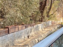 -丽泽山庄·生态怀柔菜·虹鳟鱼(红螺寺店)