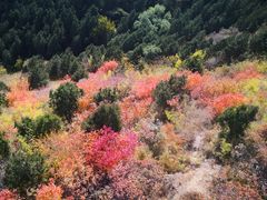 -香山公园