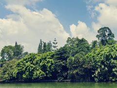 -新加坡植物园