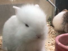 -三旗百汇商品城