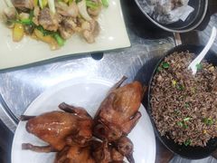 -鸽鸟轩(石岐店)