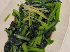 白灼菜心-老城味道·传统天津菜(杨柳青店)