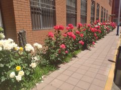 -北京邮电大学