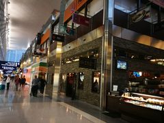 -达拉斯 沃斯堡国际机场