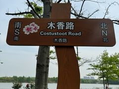 -顾村公园