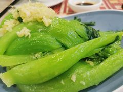 姜汁芥菜-点都德(华强南店)
