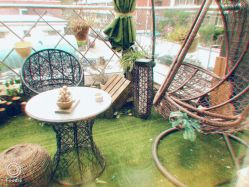 -花间禅净·瑜伽