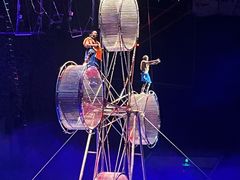 -灵玲国际马戏城