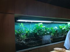 -泉寿司(万科公园店)