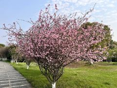 -瑶湖郊野森林公园
