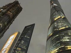 -上海柏悦酒店