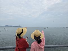 -悦海公园