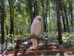 -北京野生动物园