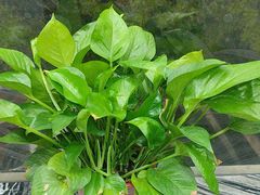 -箪食巷私房菜馆·鲁菜(玉函路店)