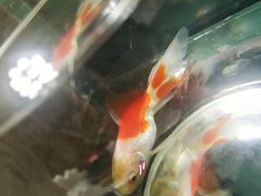 -福田农产品批发市场有限公司蔬菜交易区