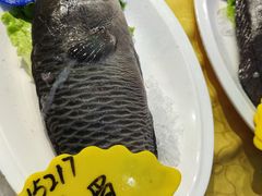 -驻海渔市(置信店)