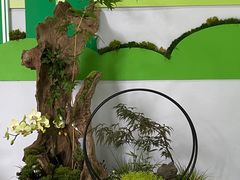 -杭州植物园