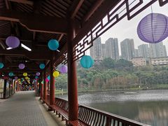 -重庆彩云湖湿地公园