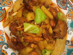 -巴依老爷新疆美食(望京小街店)