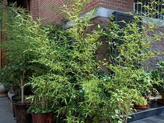 -济南1953茶文化创意产业园