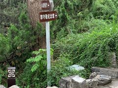 -郭守敬纪念馆
