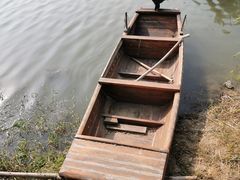 -羊山湖公园