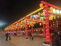-顺德公广东猪肚鸡·煲仔饭(白石洲店)