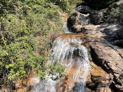 -九龙江国家森林公园