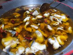 -雲蜀龙阁·金牌水煮鱼(方庄店)