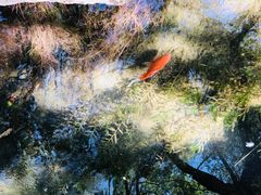 -水磨沟公园