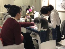 -月野兔日式美睫美甲