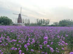 -渔岛海洋度假区